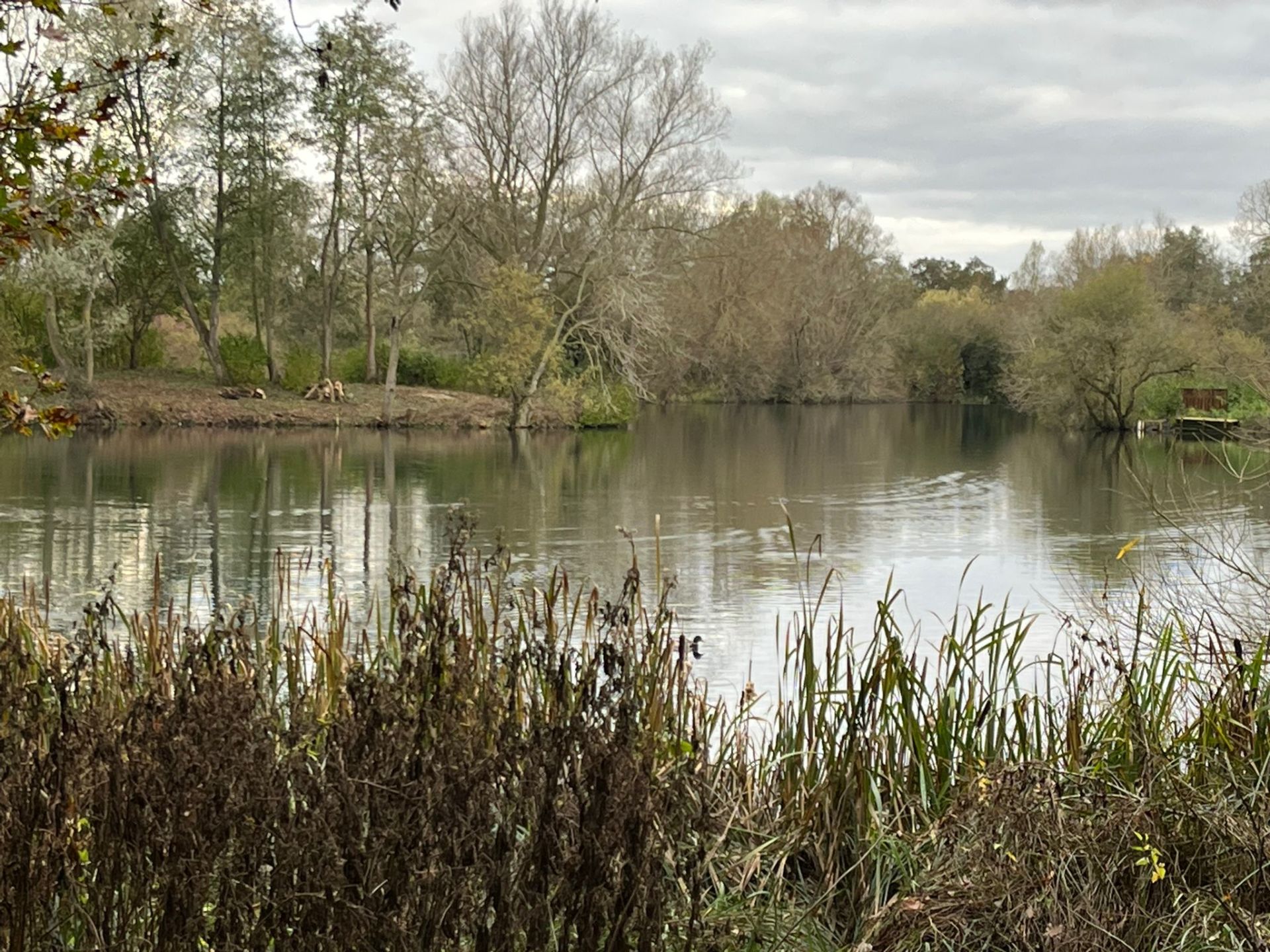 West Stow Country Park